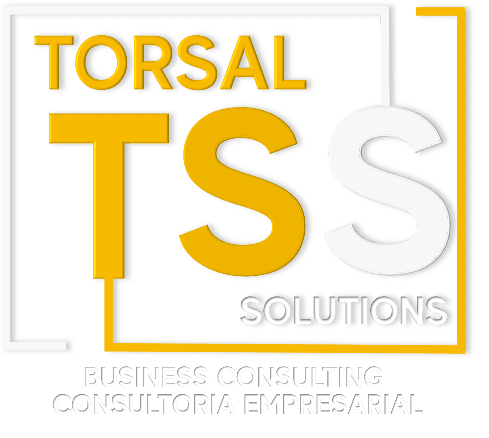 Logo of Torsal TSS Solutions with text: Business Consulting, Consultoria Empresarial.